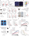 Figure 6. Suppressing IL1β-elicited PIM2 signaling augments the immunotherapeutic efficacy of a PD-1 Ab. A–D, A total of 39 patients with locally advanced, potentially resectable HCC who underwent curative resection after ICB therapy (n = 25) or control therapy (n = 14) were enrolled. mRNA levels of IL1β and PIM2 in tumor tissues (A), correlations between the mRNA levels of IL1β and PIM2 in the ICB group (B), multiplexed immunofluorescence staining analysis of PIM2+ cells (White), CD68+ cells (red), and IL1β+ cells (green) in HCC tissue from the ICB group (C, n = 6), and the responder rate of 25 patients with HCC who received neoadjuvant anti–PD-1 therapy (D) were analyzed. Stratification as PIM2low or PIM2high was performed using the median expression. PD, progressive disease; SD, stable disease; PR, partial response; CR, complete response. Scale bar, 50 μm. (E–H) Mice bearing Hepa1–6 hepatomas in the liver capsule for 8 days were treated with isotype control, αPD-1, αIFNγ, or αIL1β (all 10 mg/kg) Abs as described (n = 5). The activation status of macrophages (F) and the expression levels of IL1β, IL6, and PIM2 in tumor tissues were determined (G and H). Scale bar, 100 μm. Tumor volume in liver (I) and metastatic nodules in the lung (J) were quantified (n = 5). Scale bar, 1 cm. K, Mice bearing shNC or shPIM2 Hepa1–6 hepatomas in dorsal tissue for 10 days were treated with isotype control or αPD-1 (all 5 mg/kg) Abs as described. Tumor sizes over the indicated time were analyzed (n = 6). (L–N) C57BL/6 mice bearing Hepa1–6 hepatoma were treated with isotype control or αPD-1 (10 mg/kg) Abs and AZD1208 (25 mg/kg) as described. Tumor sizes of the subcutaneous hepatomas over the indicated time (M, n = 6) and survival of mice bearing orthotopic hepatomas (N, n = 14) were analyzed. Data represent mean ± SEM. *, P < 0.05; **, P < 0.01; ***, P < 0.001; and ****, P < 0.0001. Student t test (A), χ2 test (D), one-way ANOVA with Bonferroni's correction (F and G), two-way ANOVA with Bonferroni's correction (H–K, M), or log-rank test (N).