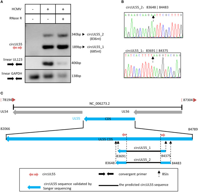 Figure 4