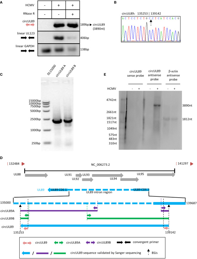 Figure 5