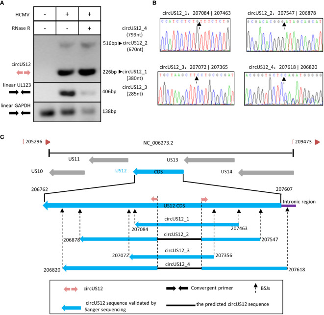 Figure 3