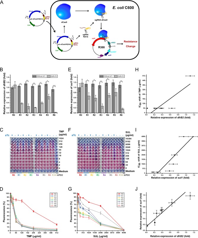 FIG 2