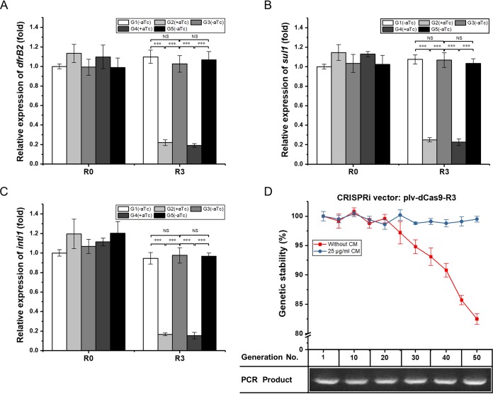 FIG 6