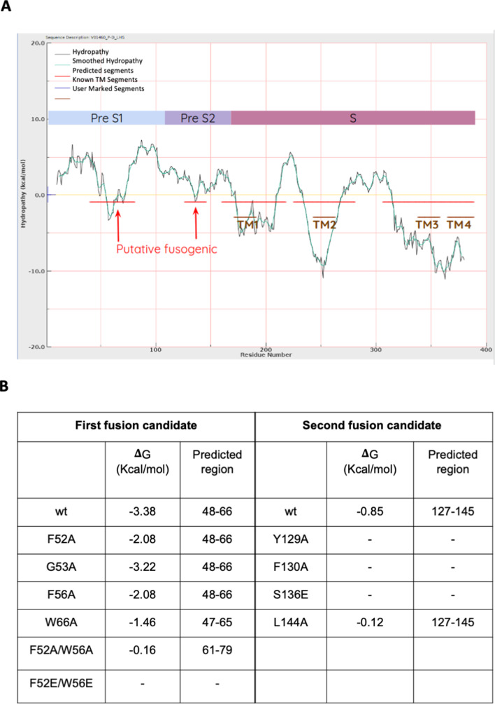 Figure 2—figure supplement 1.