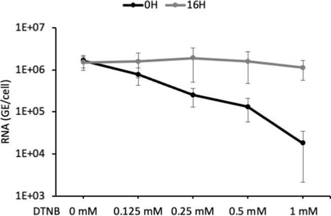 Figure 3—figure supplement 1.