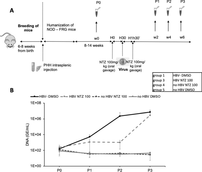 Figure 9.