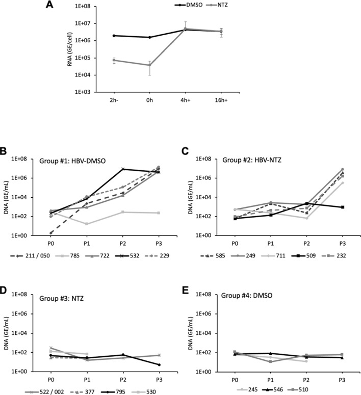 Figure 9—figure supplement 1.