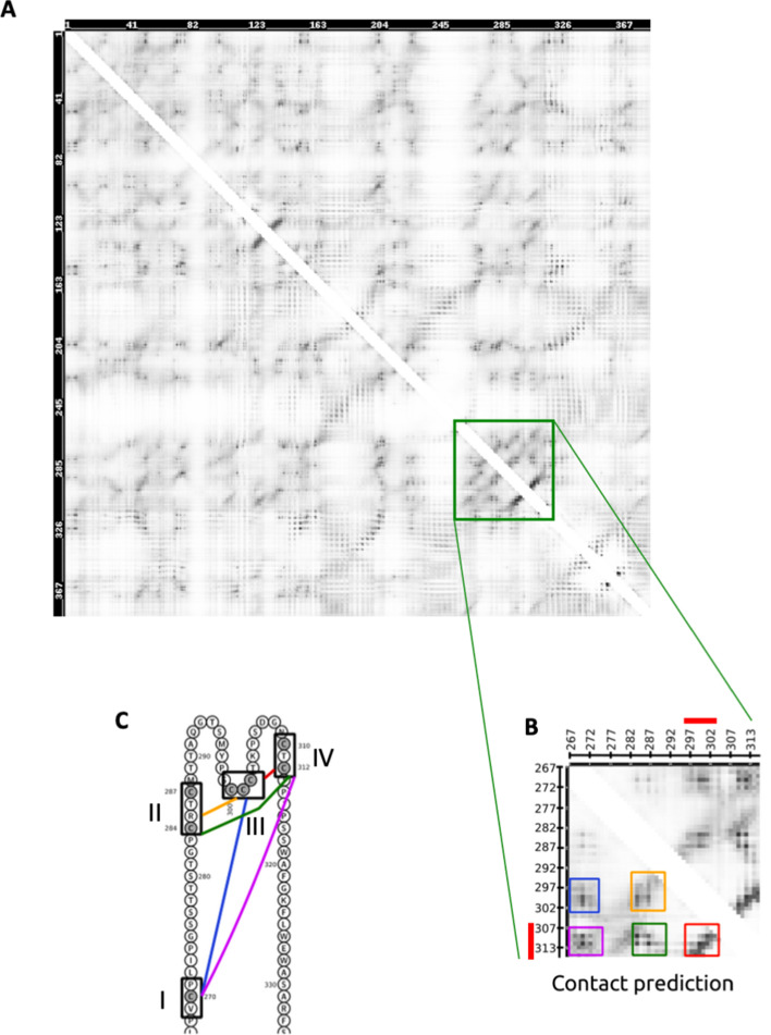 Figure 4—figure supplement 1.