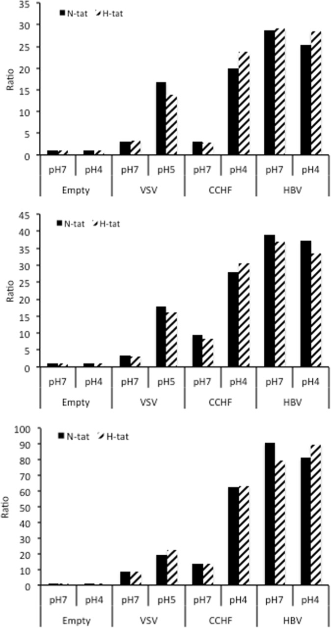 Figure 1—figure supplement 1.