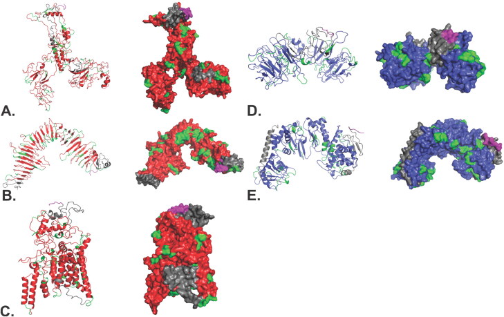 Figure 6.