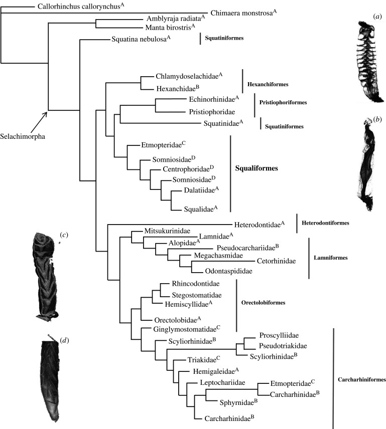 Figure 3. 