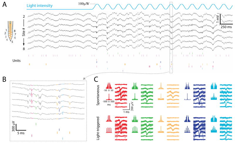 Figure 4