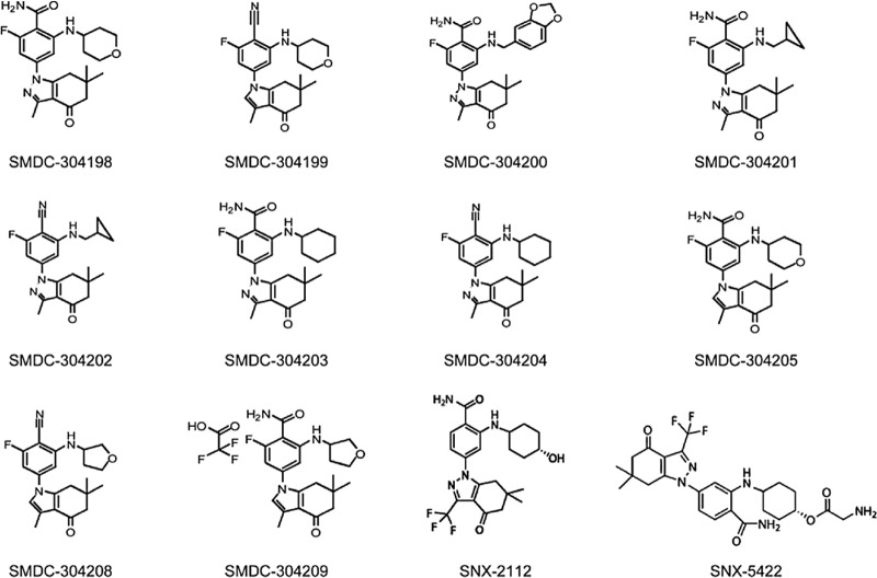 FIG 1