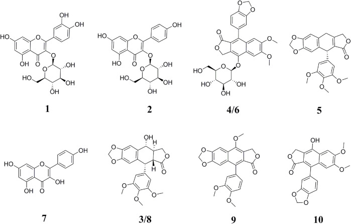 FIGURE 2