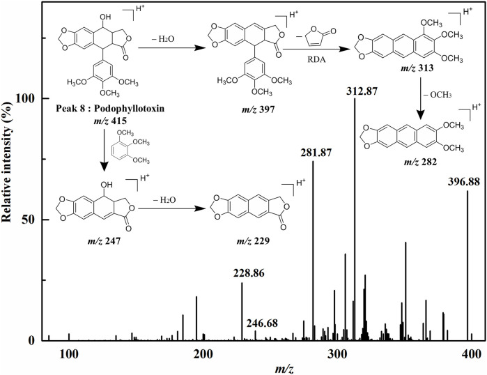 FIGURE 3