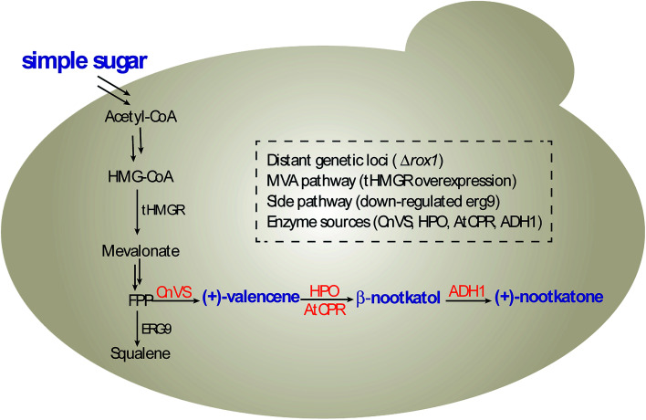 Scheme 1