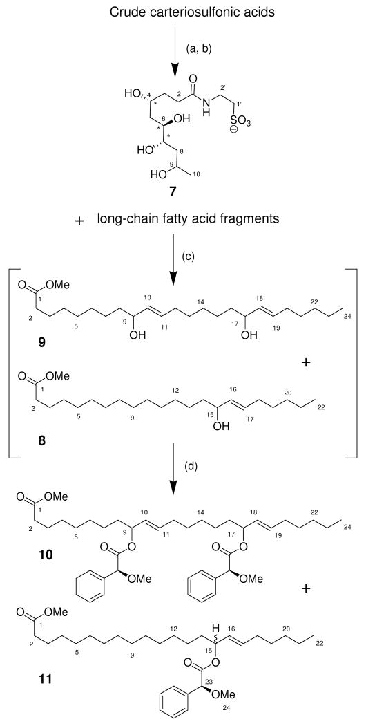 Scheme 1