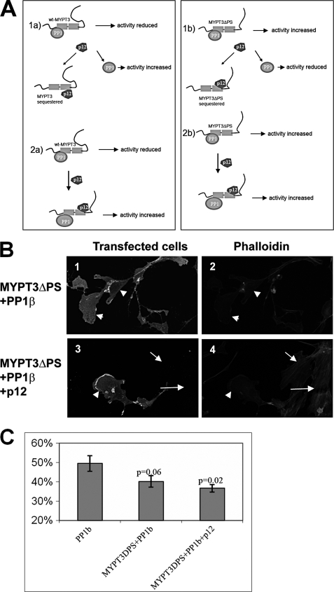 FIGURE 10.