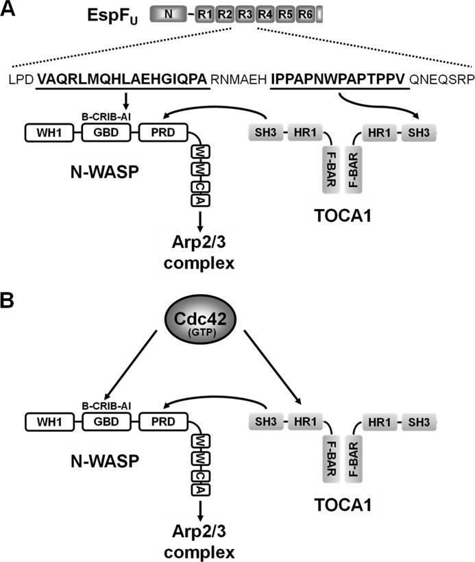 FIGURE 9.