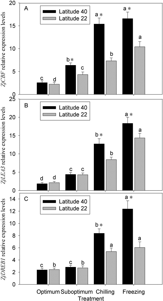 Fig 6