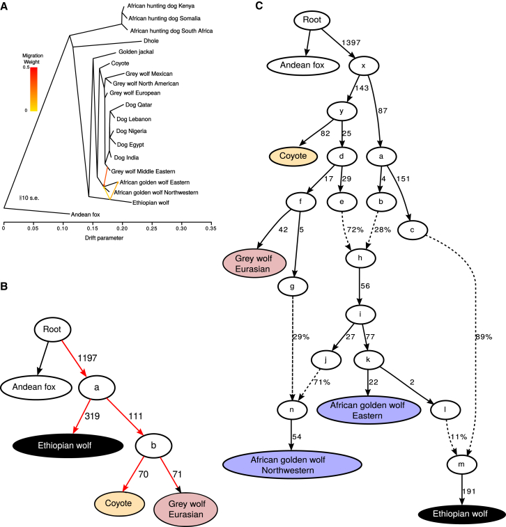 Figure 4