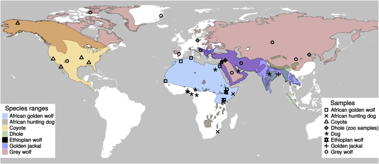 Figure 1