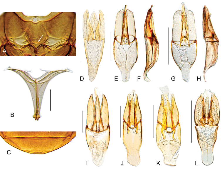 Figure 14.