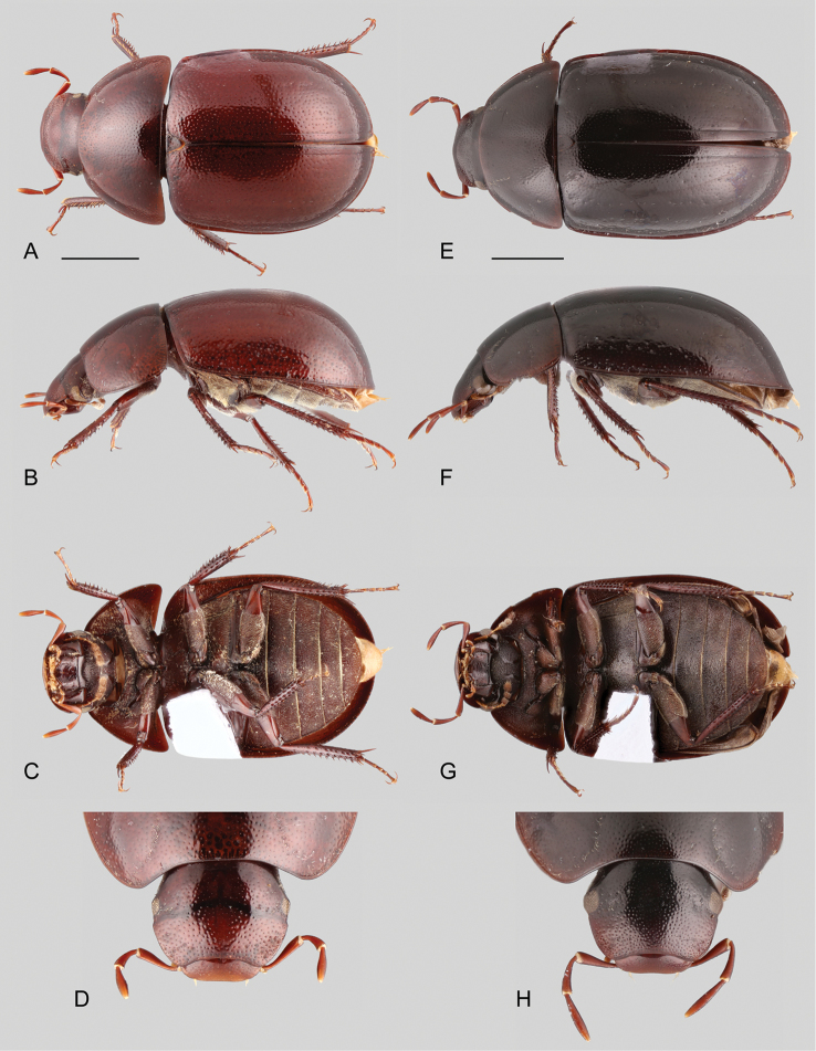 Figure 10.