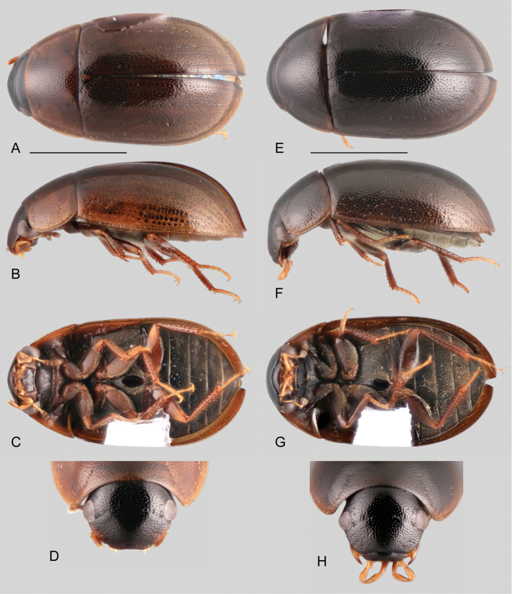 Figure 5.