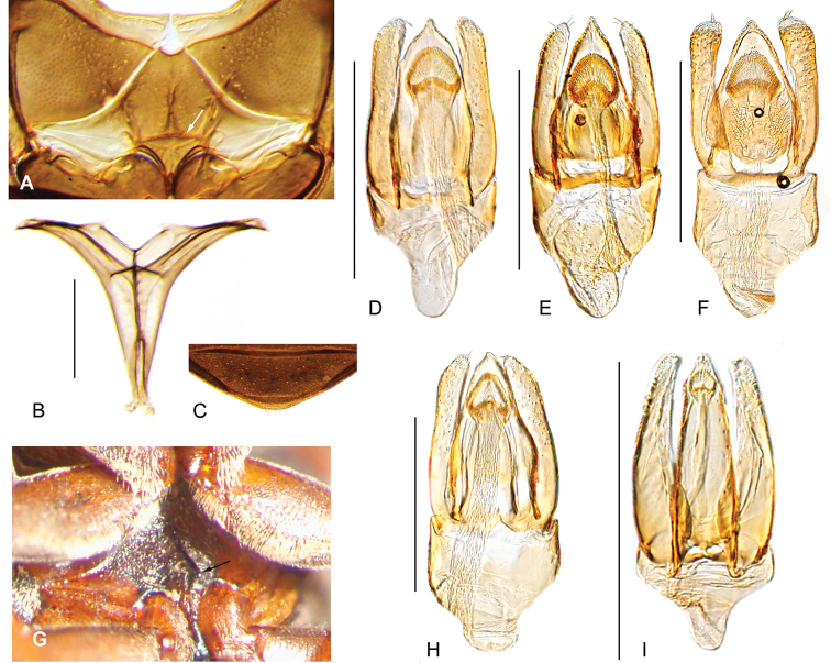 Figure 7.