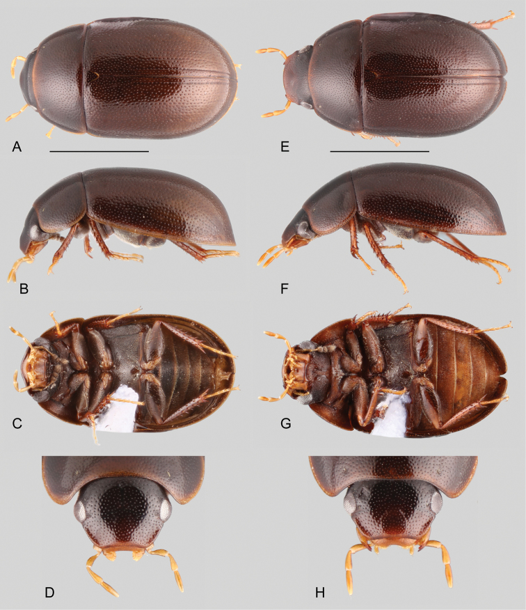 Figure 12.