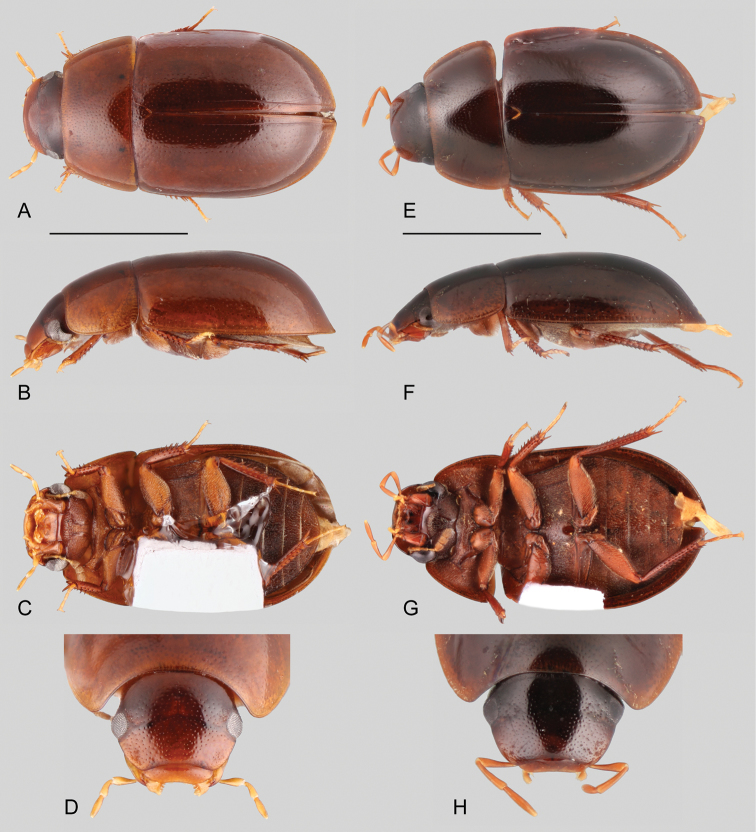 Figure 11.