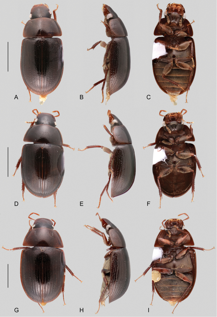 Figure 13.