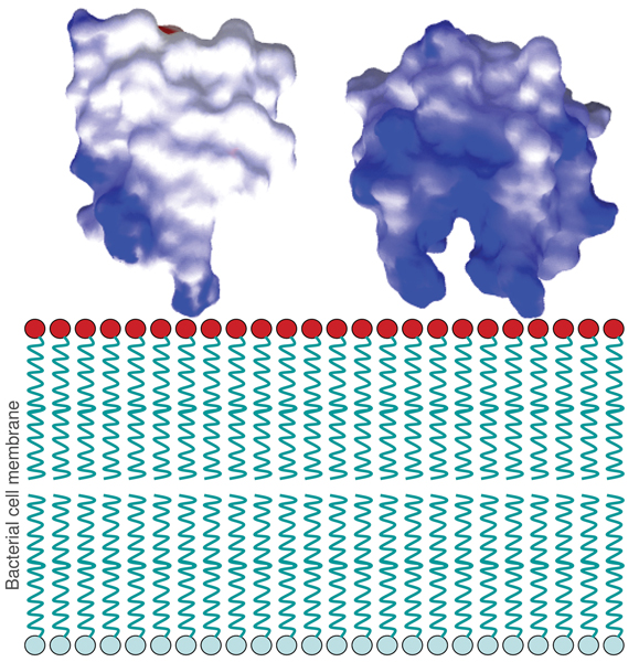 Figure 10