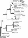 FIG. 2.