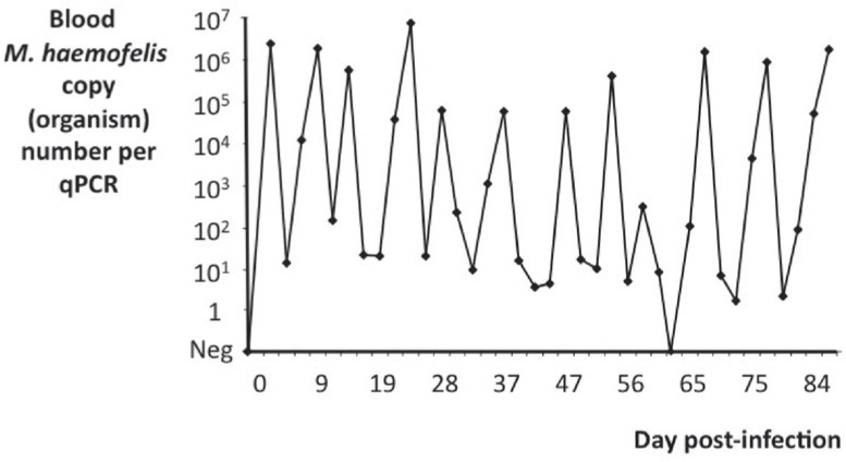 FIG 6