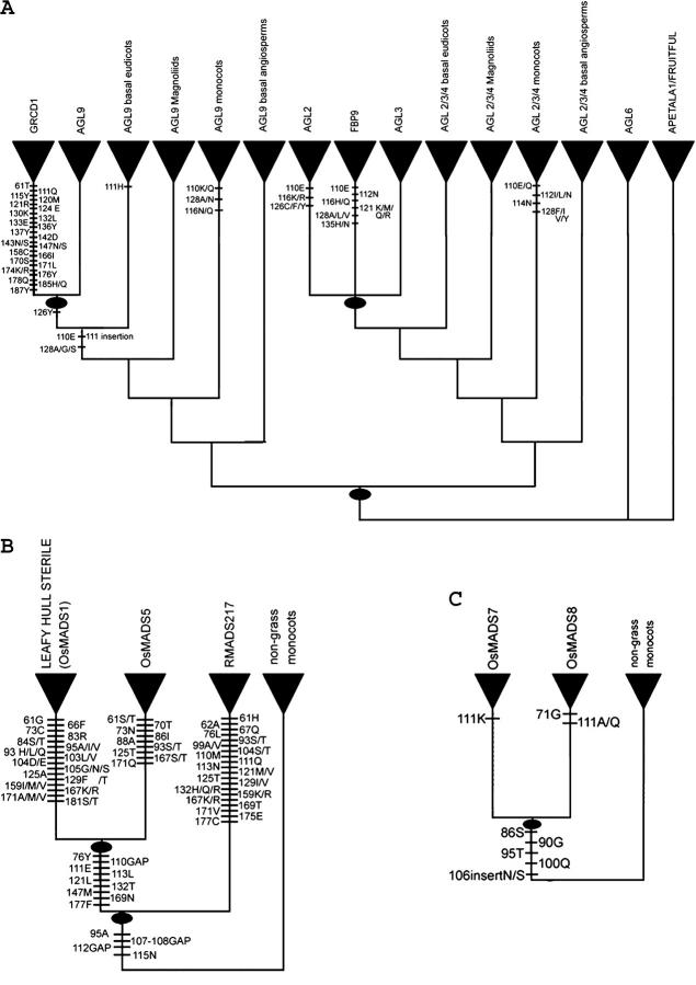 Figure 4.—