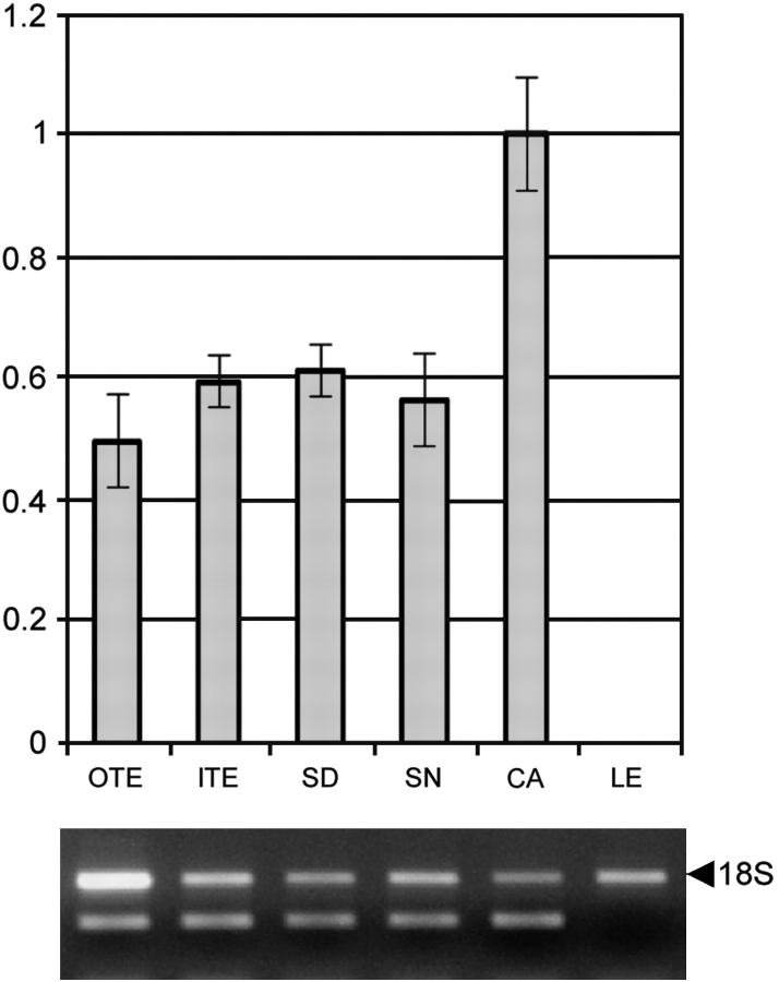 Figure 7.—