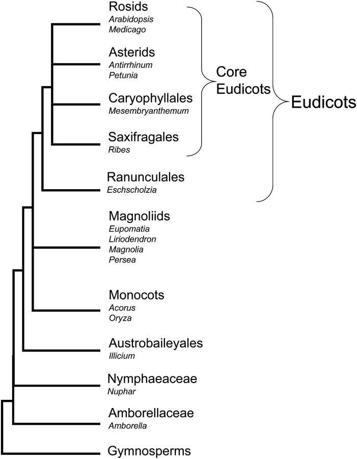 Figure 1.—