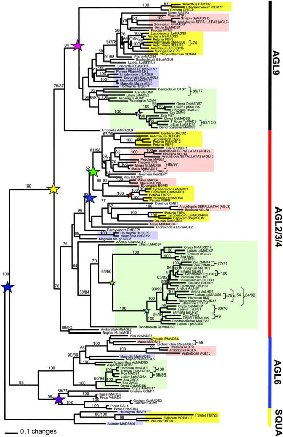 Figure 3.—