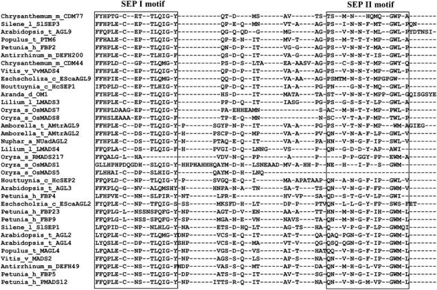 Figure 2.—