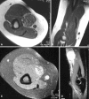 Fig. 4A–D