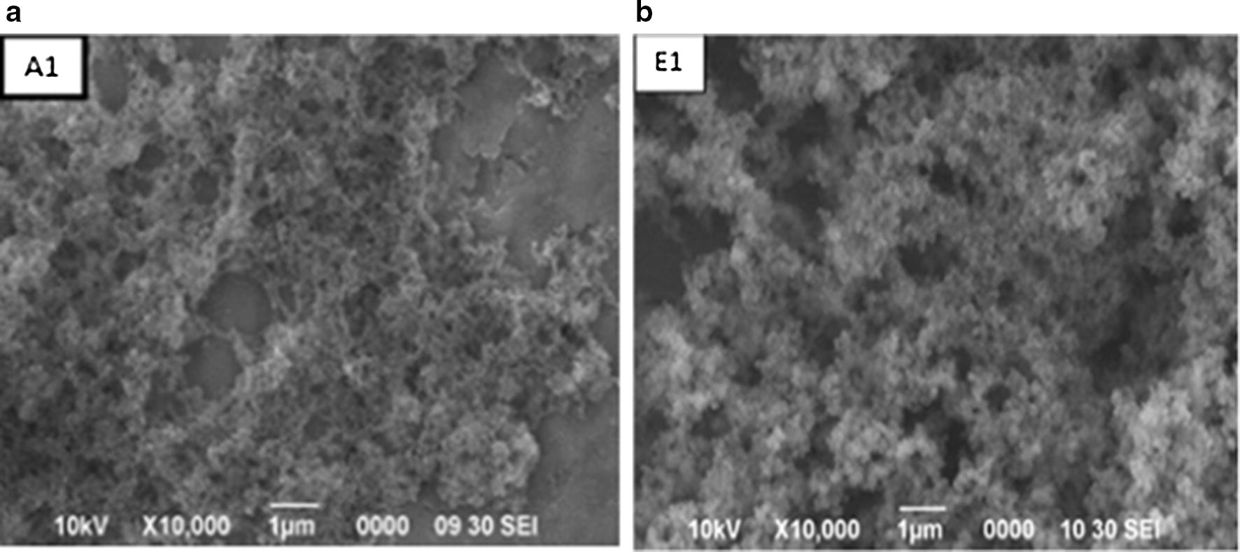 Fig. 9