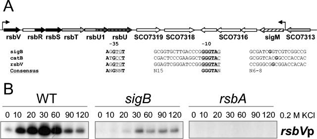 FIG. 7.