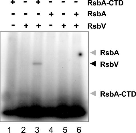 FIG. 9.