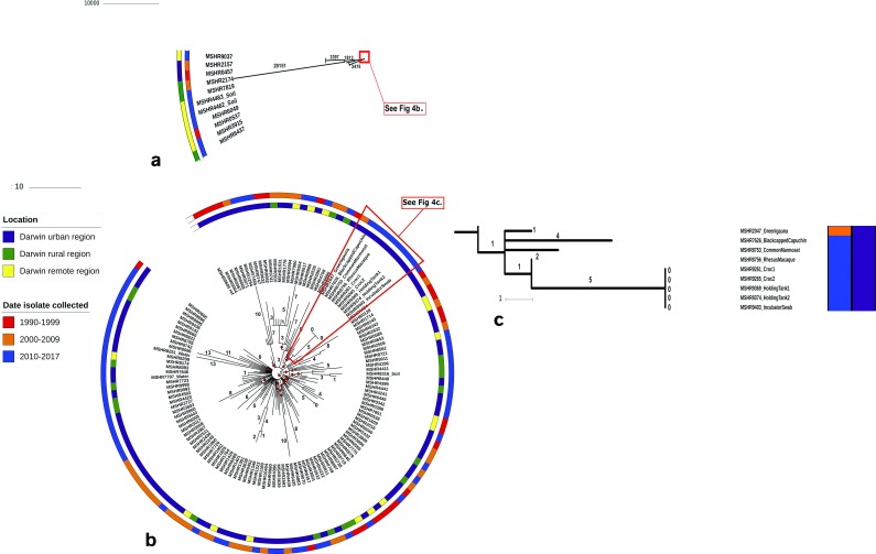 Fig. 4.