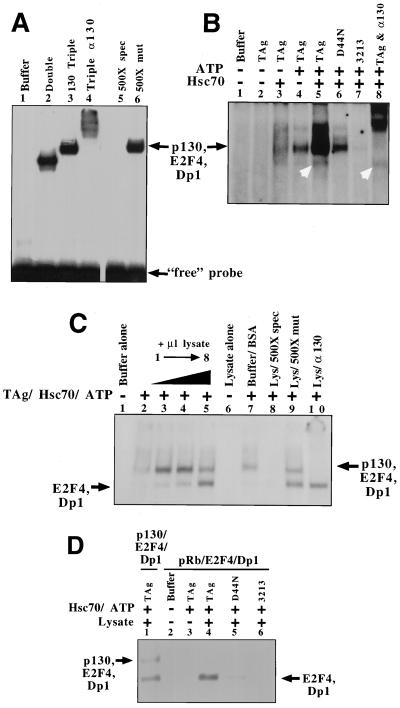 FIG. 5