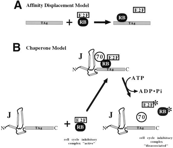 FIG. 6