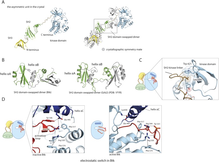 Figure 1—figure supplement 1.