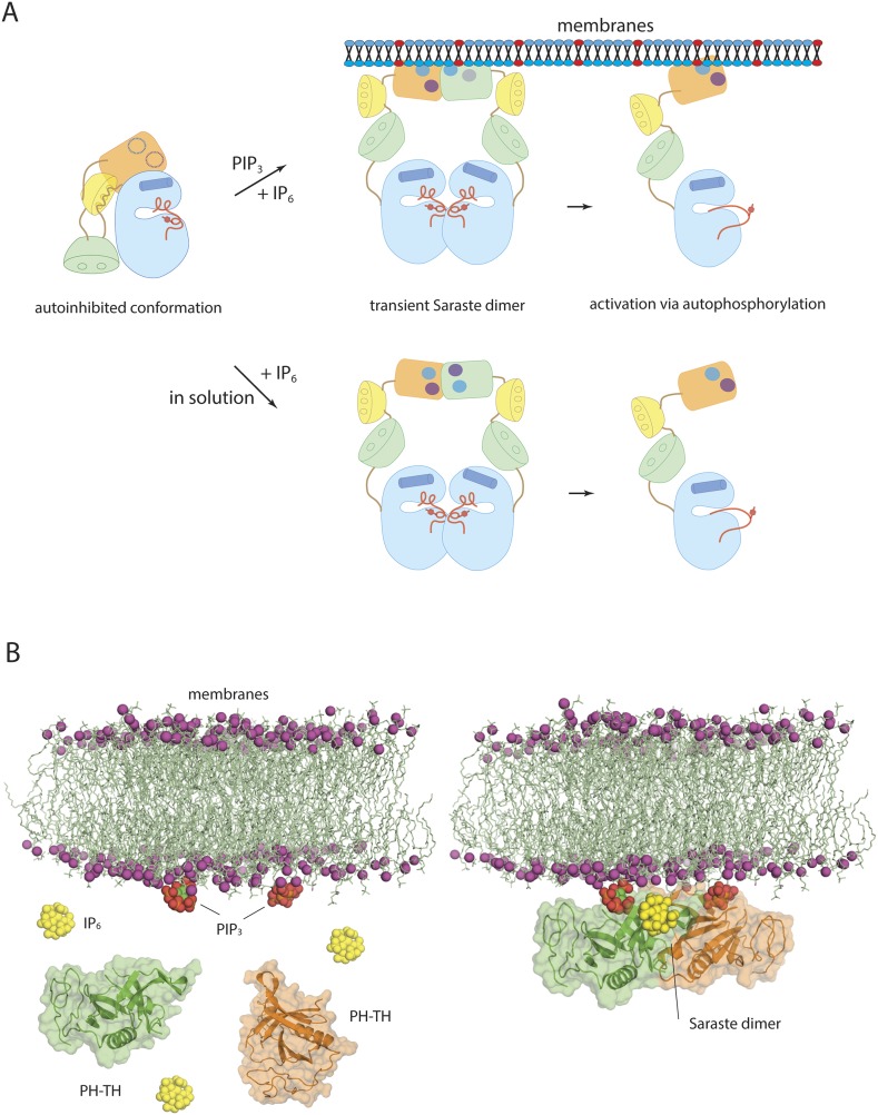 Figure 10.