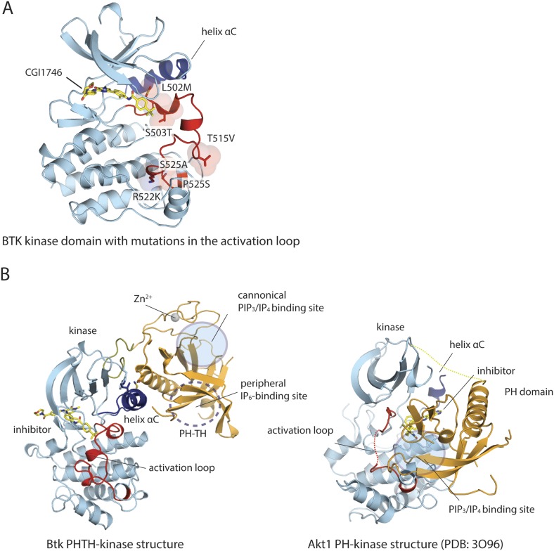 Figure 2—figure supplement 1.